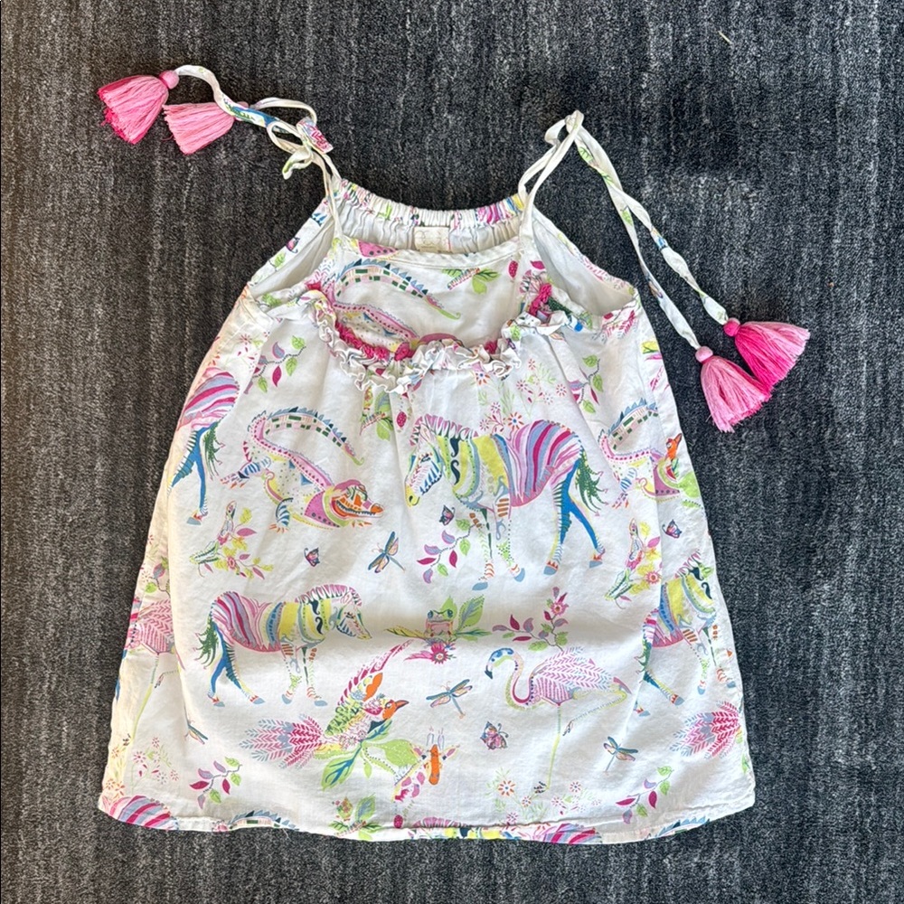 Colorful Animal Print Dress/ tunic with Tassels